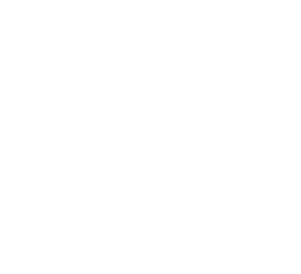 ALIVARI